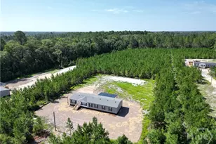 1265 Bradwell Dunham Rd NE, Ludowici, GA 31316 - Photo 43