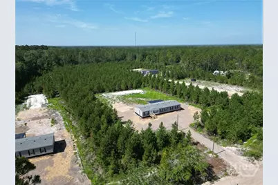 1265 Bradwell Dunham Road NE, Ludowici, GA 31316 - Photo 45
