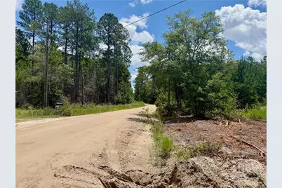 1265 Bradwell Dunham Road NE, Ludowici, GA 31316 - Photo 31