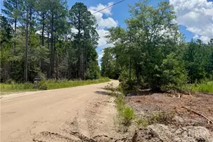 1265 Bradwell Dunham Rd NE, Ludowici, GA 31316 - Photo 31