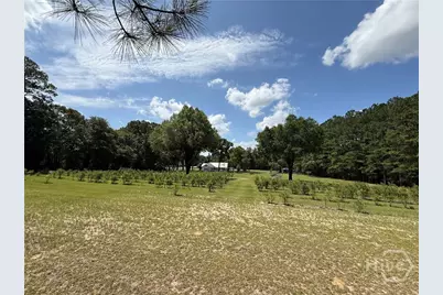 1693 Burtons Ferry Highway, Sylvania, GA 30467 - Photo 19
