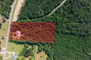 202 Nease Rd, Guyton, GA 31312 - Photo 5