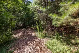 202 Nease Rd, Guyton, GA 31312 - Photo 13