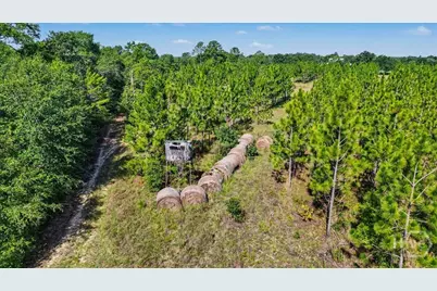 4781 L J Road, Claxton, GA 30417 - Photo 63