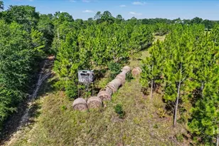 4781 Lj Rd, Claxton, GA 30417 - Photo 63