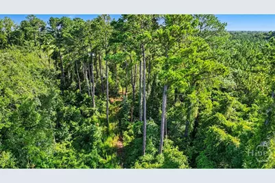 4781 L J Road, Claxton, GA 30417 - Photo 61