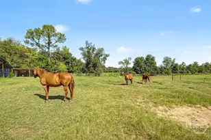 4781 Lj Rd, Claxton, GA 30417 - Photo 43