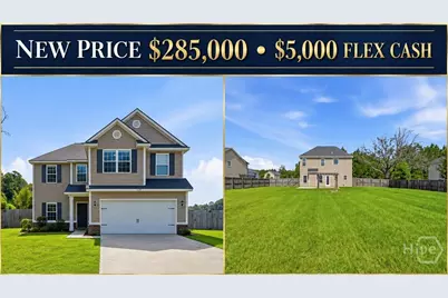 110 Dove Run Drive NE, Ludowici, GA 31316 - Photo 1