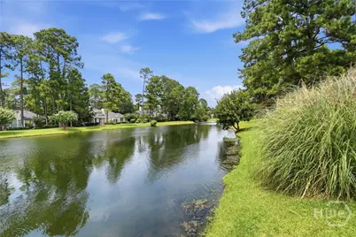 3 Springpine Lane, Savannah, GA 31411 - Photo 51