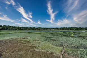 1 Egrets Nest Dr, Savannah, GA 31406 - Photo 25