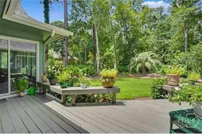 1 Mayhaw Lane, Savannah, GA 31411 - Photo 29