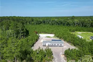 991 Bradwell Dunham Rd, Ludowici, GA 31316 - Photo 9