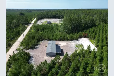 991 Bradwell Dunham Road, Ludowici, GA 31316 - Photo 11