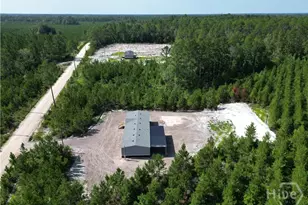 991 Bradwell Dunham Rd, Ludowici, GA 31316 - Photo 11