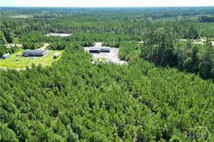 991 Bradwell Dunham Rd, Ludowici, GA 31316 - Photo 15