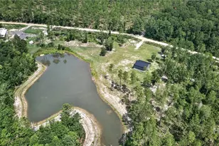 660 Old Manassas Foy, Register, GA 30452 - Photo 39
