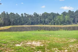 660 Old Manassas Foy, Register, GA 30452 - Photo 31