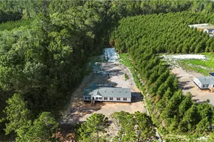 1225 Bradwell Dunham Rd, Ludowici, GA 31316 - Photo 33