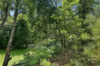 225 Frank Edwards Road, Ellabell, GA 31308 - Photo 51
