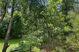 225 Frank Edwards Rd, Ellabell, GA 31308 - Photo 51