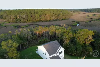 255 James Drive, Richmond Hill, GA 31324 - Photo 61