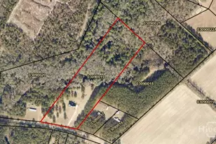 4016 Clyo-Kildare Rd, Clyo, GA 31303 - Photo 59