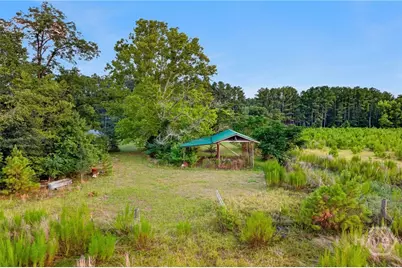 4115 Seed Tick Road, Ellabell, GA 31308 - Photo 43