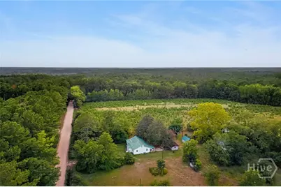 4115 Seed Tick Road, Ellabell, GA 31308 - Photo 45