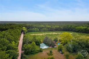 4115 Seed Tick Rd, Ellabell, GA 31308 - Photo 45