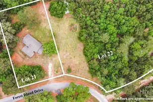 1595 Forest Island Dr, Townsend, GA 31331 - Photo 49