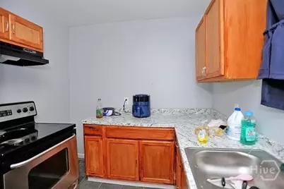 219 Eagle Street, Savannah, GA 31415 - Photo 13