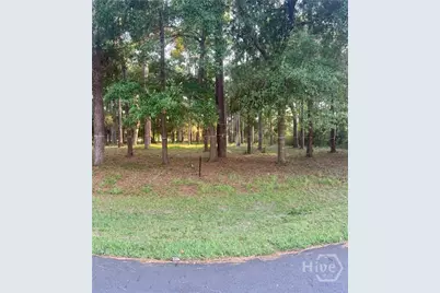 0 Fair Hope Drive NE, Townsend, GA 31331 - Photo 1