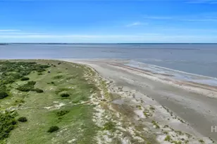 85 Van Horne St, Tybee Island, GA 31328 - Photo 3