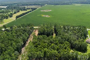 729 Reedsville Rd, Clyo, GA 31303 - Photo 63