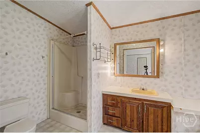 729 Reedsville Road, Clyo, GA 31303 - Photo 45