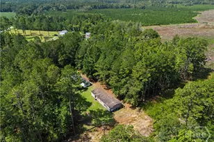 729 Reedsville Rd, Clyo, GA 31303 - Photo 69
