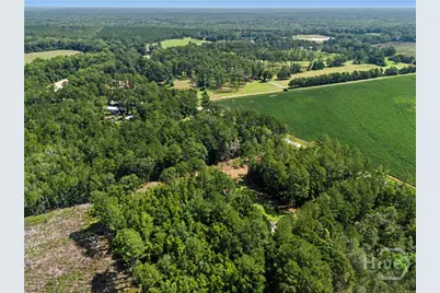 729 Reedsville Road, Clyo, GA 31303 - Photo 61