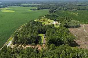 729 Reedsville Rd, Clyo, GA 31303 - Photo 67