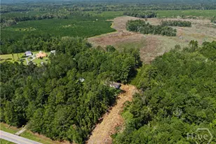 729 Reedsville Rd, Clyo, GA 31303 - Photo 75
