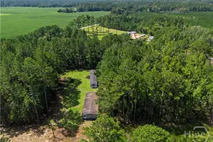 729 Reedsville Rd, Clyo, GA 31303 - Photo 71