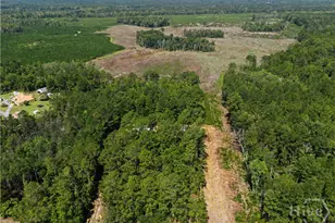 729 Reedsville Rd, Clyo, GA 31303 - Photo 77
