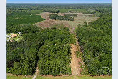 729 Reedsville Road, Clyo, GA 31303 - Photo 75