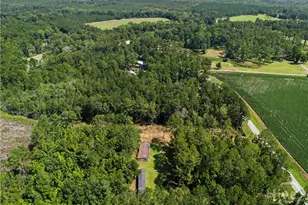 729 Reedsville Rd, Clyo, GA 31303 - Photo 59