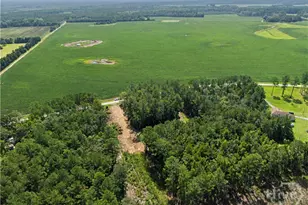 729 Reedsville Rd, Clyo, GA 31303 - Photo 65