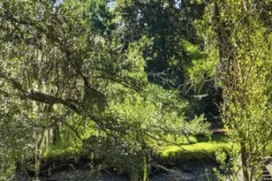 9006 Harmon Bluff Rd, Savannah, GA 31406 - Photo 33