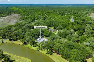 1105 Eagle Way NE, Shellman Bluff, GA 31331 - Photo 43