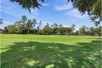 6 Sea Eagle Court, Savannah, GA 31411 - Photo 39