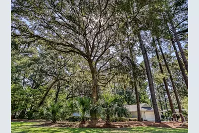 262 Wiley Bottom Road, Savannah, GA 31411 - Photo 5