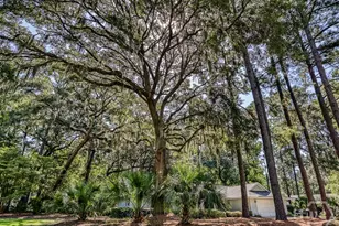 262 Wiley Bottom Rd, Savannah, GA 31411 - Photo 5