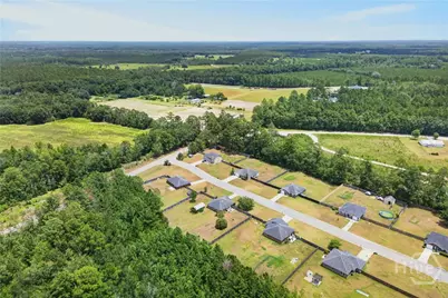 52 Pine View Drive SE, Ludowici, GA 31316 - Photo 29